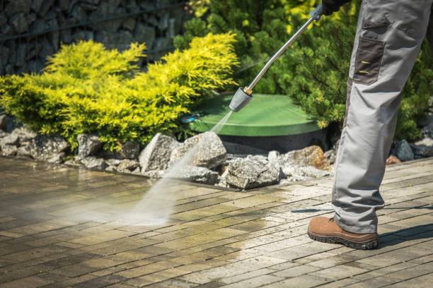 Best Window and Screen Pressure Cleaning in Newnan, GA