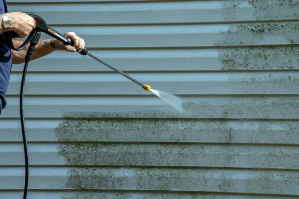 Best Soft Washing for Delicate Surfaces in Newnan, GA